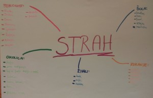 Strah-miselni-vzorec