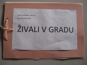 Iz risb smo oblikovali knjigo Živali v gradu.